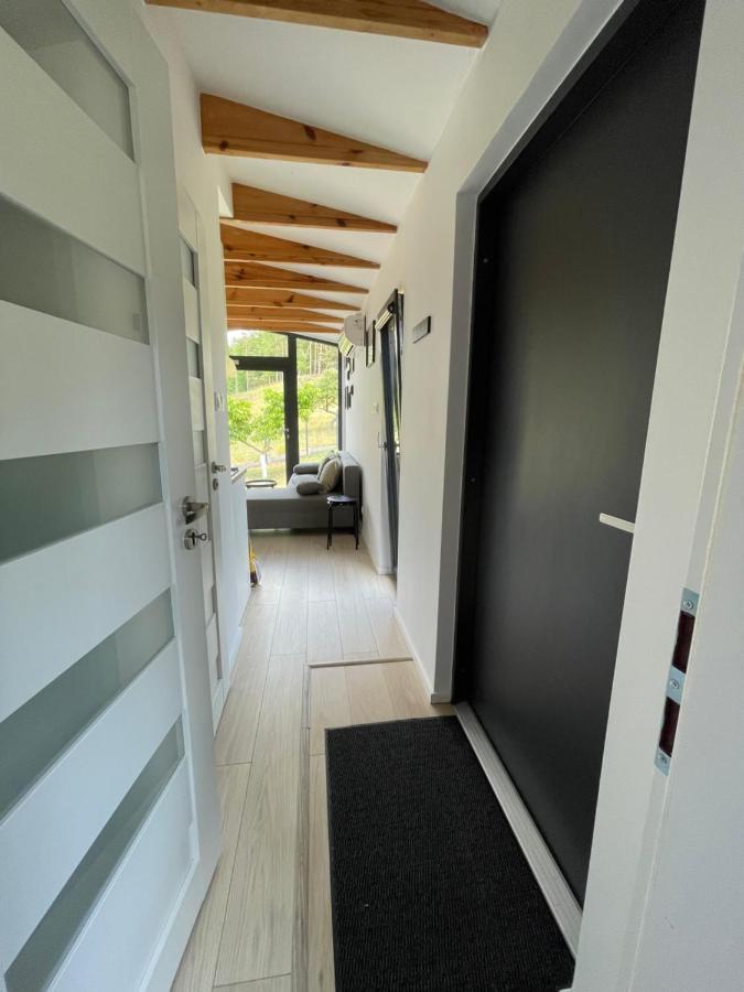Swiety Spokoj Bielinek Apartment Cedynia